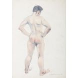 EAMON O'DOHERTY (1939 - 2011) Male Nude Watercolour and pencil, 54 x 35cm Signed Provenance: