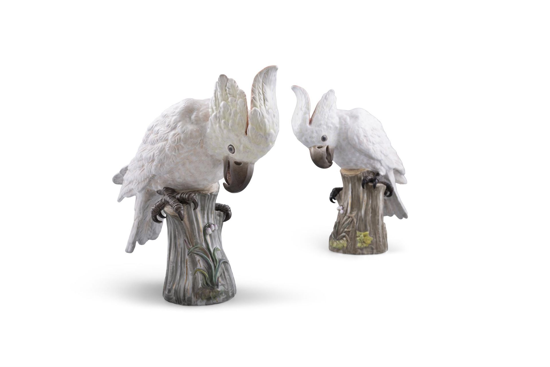 A PAIR OF 19TH CENTURY MEISSEN PAINTED PORCELAIN MODELS OF FEMALE COCKATOOS sitting on a tree - Image 3 of 6