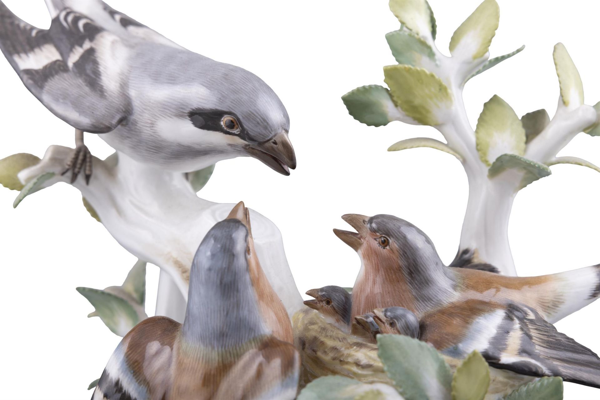 A 19TH CENTURY MEISSEN PAINTED PORCELAIN GROUP OF NESTING WRENS in a leafy bough protecting the - Image 4 of 6