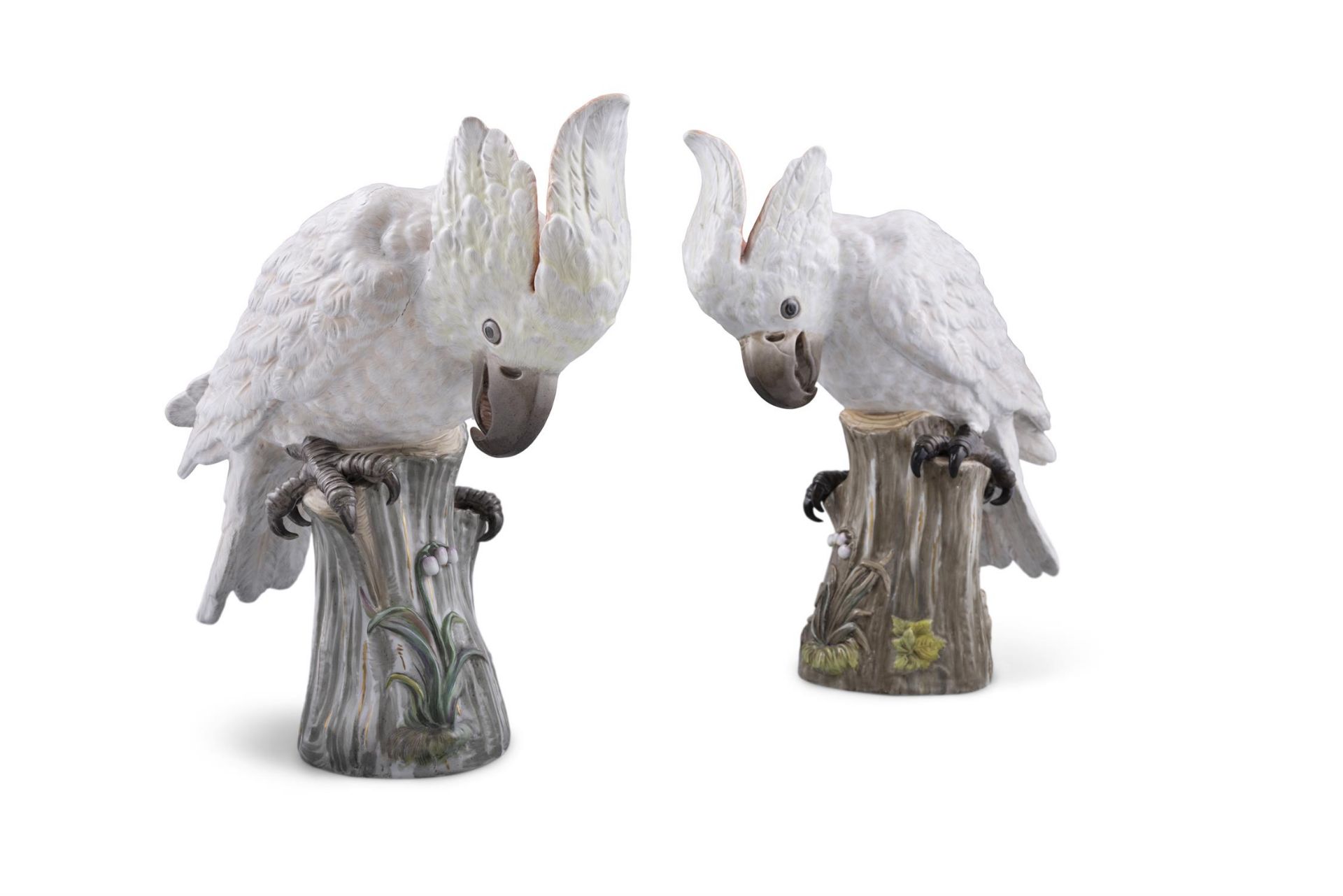 A PAIR OF 19TH CENTURY MEISSEN PAINTED PORCELAIN MODELS OF FEMALE COCKATOOS sitting on a tree