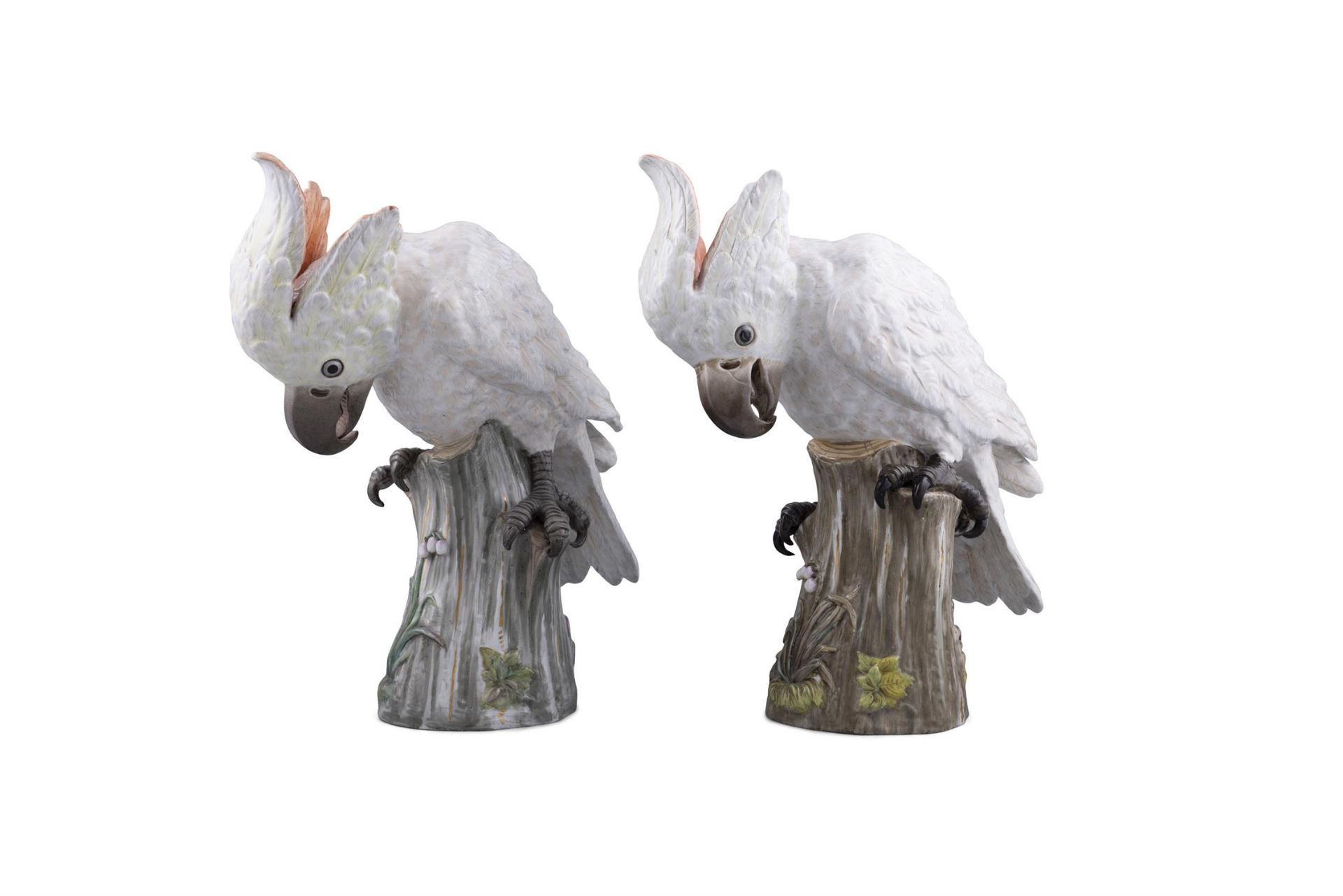 A PAIR OF 19TH CENTURY MEISSEN PAINTED PORCELAIN MODELS OF FEMALE COCKATOOS sitting on a tree - Image 2 of 6