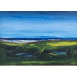 Sean McSweeney RHA (1935-2018) Shoreline, Ballyconnell Oil on board, 25 x 35cm (9¾ x