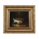 ATTRIBUTED TO EDWARD ARMFIELD, 19TH CENTURY Terrier ratting in a stable Oil on board,