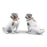 A PAIR OF MODERN DRESDEN HAND PAINTED PORCELAIN MODELS OF SEATED PUG DOGS 21.5cm high