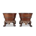 A PAIR OF CARVED MAHOGANY AND PARCEL GILT OVAL JARDINIERES each with acanthus rim,