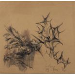 CHARLIE CULLEN (B.1939) Plant Forms Pencil, 30 x 32cm Signed and dated '76 unframed