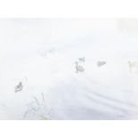 Tom Carr ARHA HRUA ARWS (1909-1999) Ducks on Lake Watercolour, 27.5 x 37cm (10¾ x