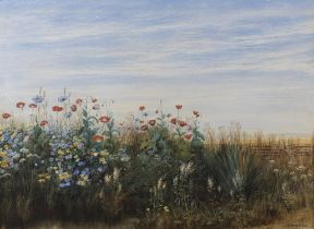 Andrew Nicholl RHA (1804-1886) Landscape View Through a Bank of Wild Flowers Watercolour, 52.
