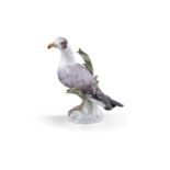 A LATE 20TH CENTURY MEISSEN PAINTED PORCELAIN FIGURE OF A SEAGULL standing in rushes on an oval