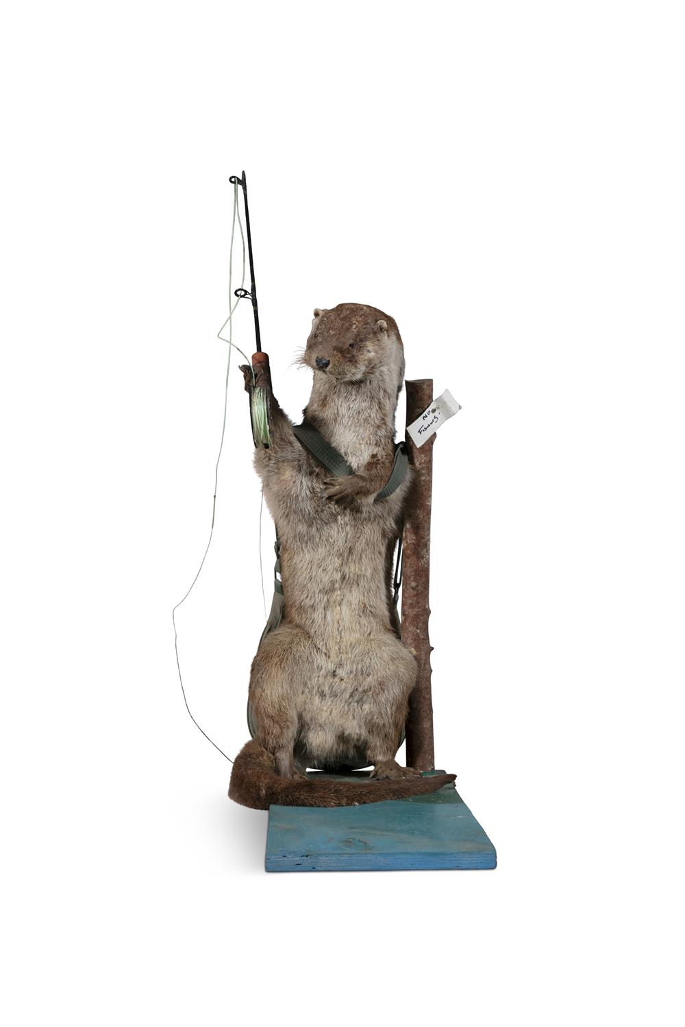 TAXIDERMY An anthropomorphic otter, displayed standing in an upright position as a fisherman with