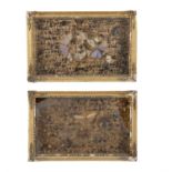 A PAIR OF FRAMED SPECIMEN DISPLAYS OF BUTTERFLIES AND INSECTS, within gilt wood and gesso framed