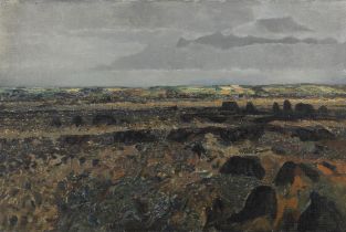Colin Middleton RHA RUA (1910-1983) The Garry Bog, Portrush, (1958) Oil on canvas, 50.5 x 76.