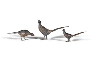 A COLLECTION OF THREE AUSTRIAN COLD PAINTED MODELS OF GAME BIRDS comprising two pheasants and a