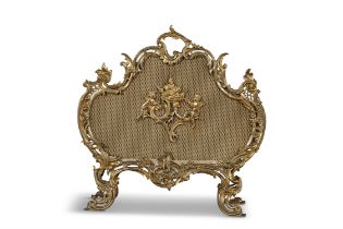 A FRENCH 19TH CENTURY BRASS FIRE SCREEN of cartouche form, with naturalistically cast handle,