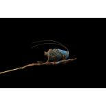 A KINGFISHER FEATHER CICADA ON A LEAF HAIRPIN 晚清 銅胎點翠知了頭釵 L(cicada): 6cm