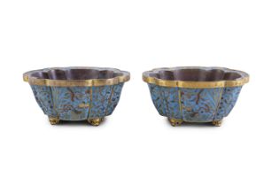 A RARE PAIR OF GILT BRONZE CLOISONNÉ ENAMEL "WU DU TU"（FIVE POISONOUS CREATURES）NARCISSUS