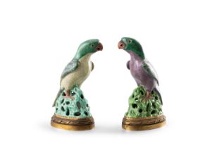 A PAIR OF FAMILLE VERTE PORCELAIN PARROTS 清康熙 素三彩鸚鵡一對 China, Kangxi period