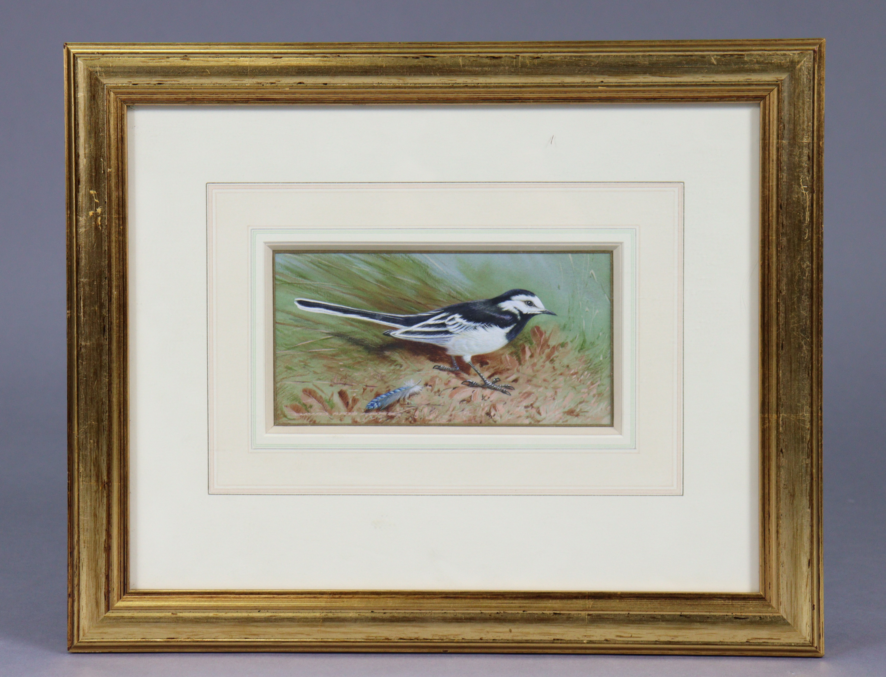 DAVID ORD KERR (b. 1951) “Pied Wagtail”, signed lower left, watercolour: 3¾”x7½”, framed & - Image 2 of 4