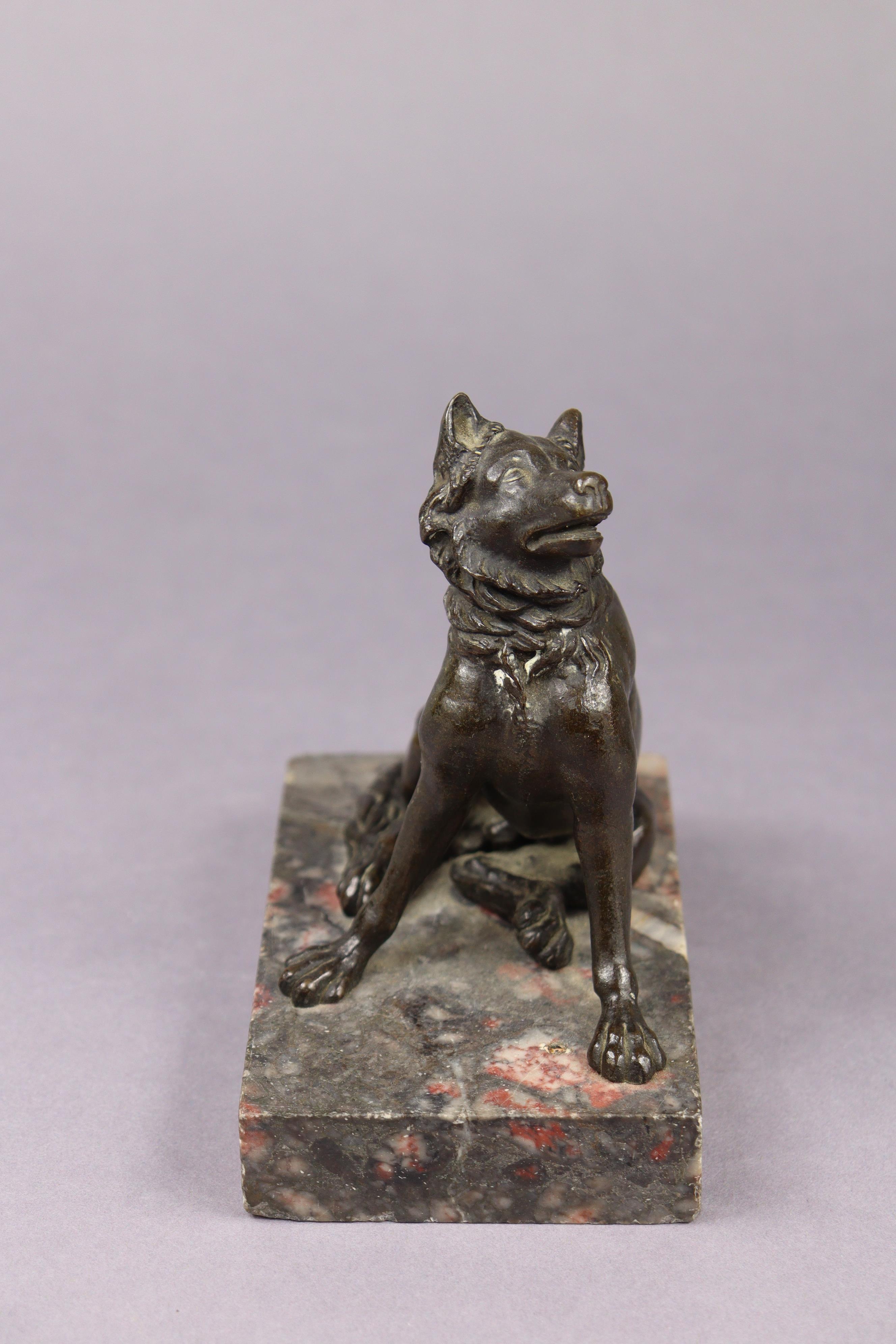 A Grand Tour bronze model of a seated dog, on marble rectangular base, 5¼” high x 5” wide. - Image 2 of 5