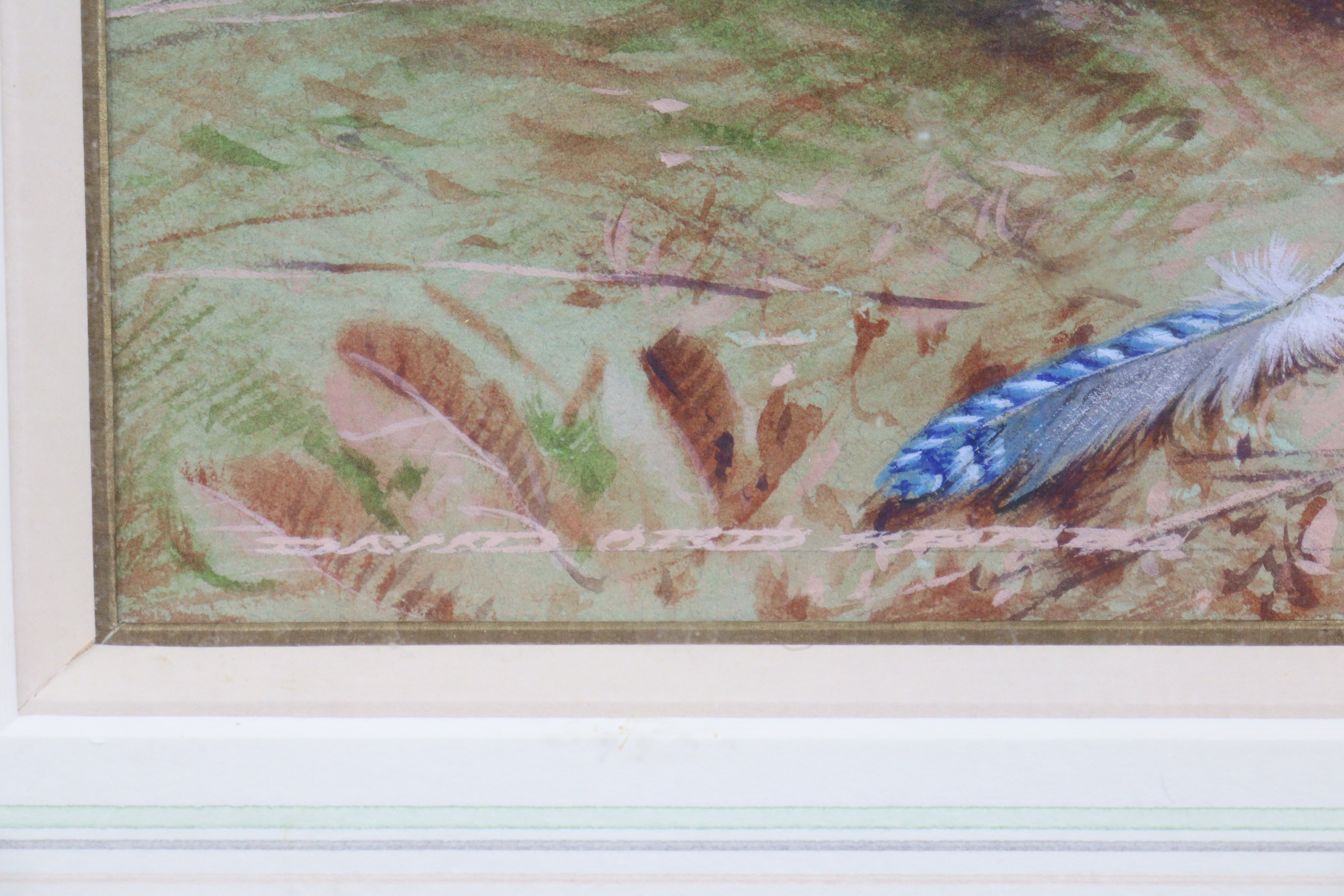DAVID ORD KERR (b. 1951) “Pied Wagtail”, signed lower left, watercolour: 3¾”x7½”, framed & - Image 3 of 4