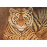 SANDY BELL (contemporary) Study of a tiger; signed lower right; watercolour: 20½” x 28¼”, in