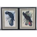 A Limited Edition coloured print titled “The Bird Watcher” (B1/150), signed indistinctly, 20½” x