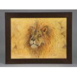 A watercolour painting of a lion; signed lower right “Sandy Bell”; watercolour: 20” x 27¼”, in