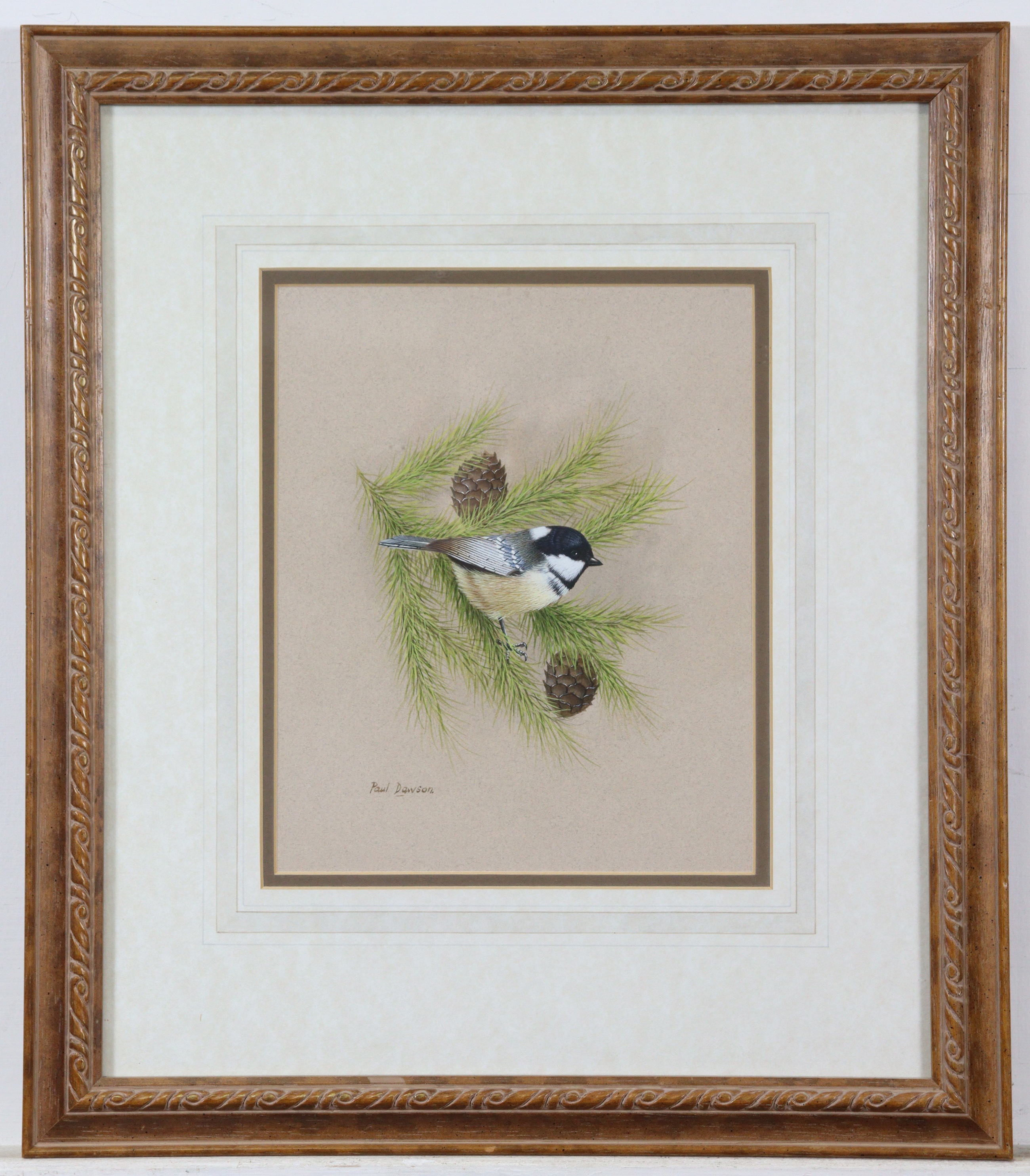 PAUL DAWSON (b. 1946) Study of a coal tit amongst pines, signed, Watercolour: 9½” x 7½”, framed & - Image 2 of 2