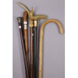 An ebonised gent’s walking cane with a horn handle, & having a yellow-metal mount; together with