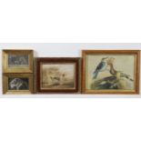 ENGLISH SCHOOL, early 19th century. A watercolour study of a hoopoe & other exotic birds, in