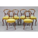 A set of six Victorian walnut balloon-back dining chairs with carved flower head designs to the open