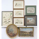 Nine various 18th & 19th century engravings, including a coloured engraving detailing the anatomy of
