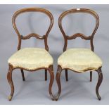 A pair of Victorian balloon-back occasional chairs with padded seats, & on slender carved cabriole