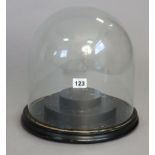 A glass domed dust shade on an ebonised wooden plinth, 10½” diameter x 12” high.