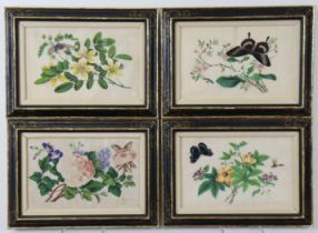 A set of four Chinese rice paper paintings, depicting insects amongst flowering branches, each