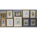 Ten coloured botanical prints, all framed.
