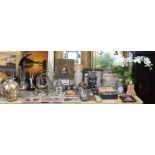 Various decorative ornaments, photograph frames, etc.