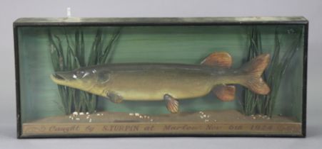 A 1920s PAINTED & CARVED WOODEN PIKE TROPHY MODEL, inscribed: “Caught by S. Turpin at Marlow Nov 6th