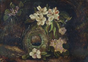 Attributed to OLIVER CLARE (1853-1927). A still life of a nest of eggs & clematis. Signed “O (?)