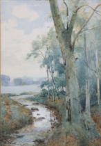 THOMAS BUNTING (1851-1928). A woodland scene with stream to the fore & river beyond; signed: