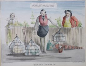 A 19th century humorous coloured engraving “Political Hits No 31, TENDER ANNUALS”, printed by W.