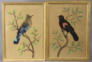 A pair of early 20th century English School ornithological studies in watercolour & feather-collage,