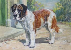 FREDERICK THOMAS DAWS (1878-1956). A sketch of a St Bernard, signed “F T Daws” lower right,