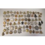 Approx. sixty-five regimental cap badges and other insignia, some copies: to include Lincolnshire
