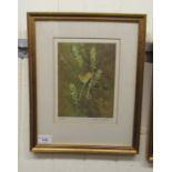 After Gordon Denningfield - a dormouse amongst foliage  Limited Edition 149/500 coloured print