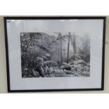 A monochrome Limited Edition 1/12 photographic print 'South Highland, New South Wales'  bears an