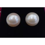 A pair of freshwater pearl earrings  boxed