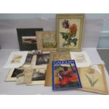 Botanical and other 19th & 20thC ephemera: to include postcards and monochrome prints  7.5" x 8.5"