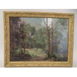 WB Rowe - a woodland glade  oil on board  bears a signature  7" x 9.5"  framed