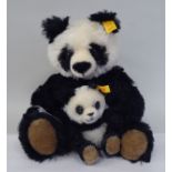 A Steiff seated Panda with a cub  660818 with two buttons  9"h